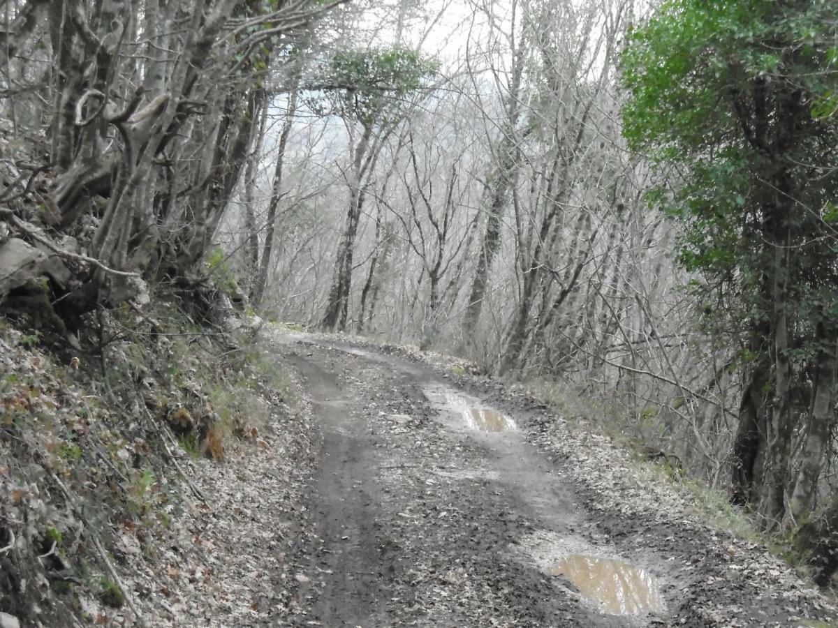 La Masseria Di Antonio E Teresina Colli a Volturno Bagian luar foto
