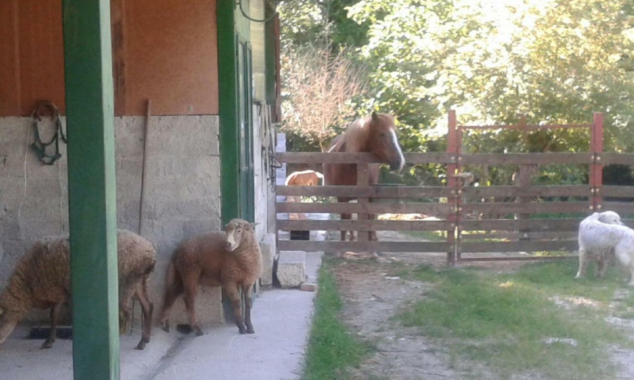 La Masseria Di Antonio E Teresina Colli a Volturno Bagian luar foto