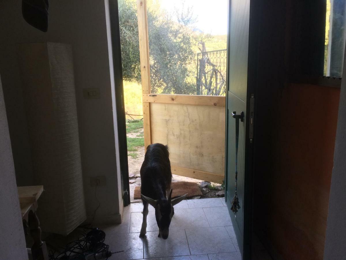 La Masseria Di Antonio E Teresina Colli a Volturno Bagian luar foto